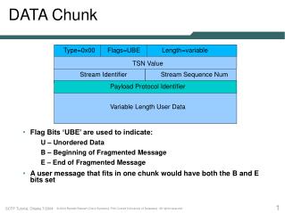 DATA Chunk