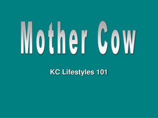 KC Lifestyles 101