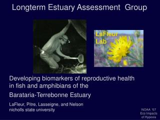 Longterm Estuary Assessment Group
