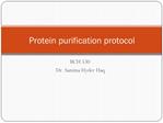 Protein purification protocol