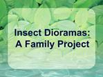 Insect Dioramas: A Family Project