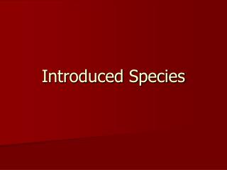 Introduced Species