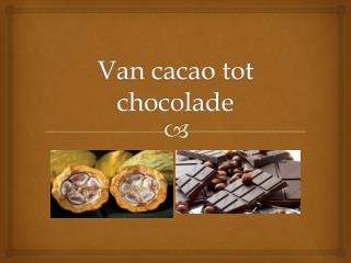 Van cacao tot chocolade