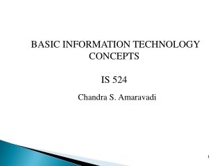 BASIC INFORMATION TECHNOLOGY CONCEPTS IS 524