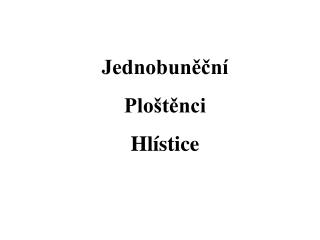 Jednobuněční Ploštěnci Hlístice