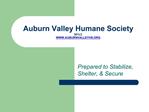 Auburn Valley Humane Society 501c3 WWW.AUBURNVALLEYHS.ORG