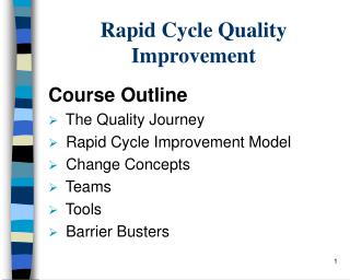 Rapid Cycle Quality Improvement