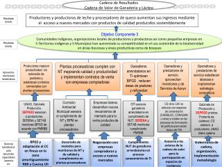 Empresas lácteos desarrollan nuevos mecanismos de mercado para la venta productos de calidad