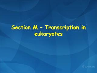 Section M – Transcription in eukaryotes