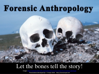 Let the bones tell the story!