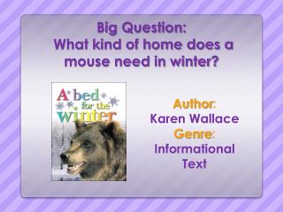 Big Question: What kind of home does a mouse need in winter?