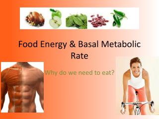 Food Energy & Basal Metabolic Rate