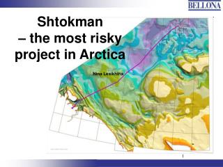 Shtokman – the most risky project in Arctica Nina Lesikhina