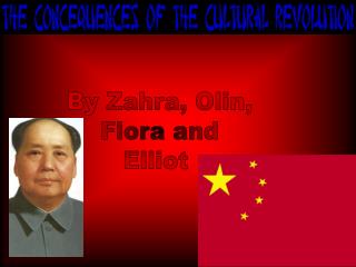 By Zahra, Olin, Flora and Elliot