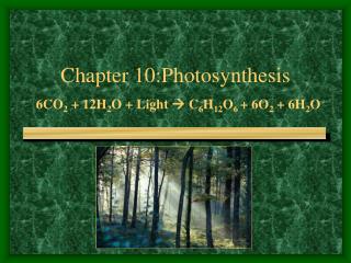 Chapter 10:Photosynthesis