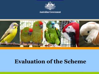 Evaluation of the Scheme