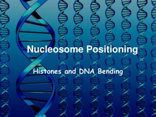 Nucleosome Positioning