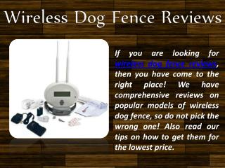 wireless dog fence reviews
