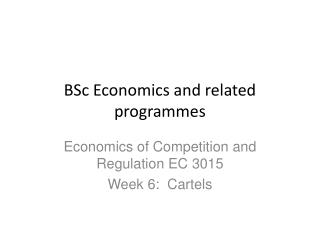 BSc Economics and related programmes