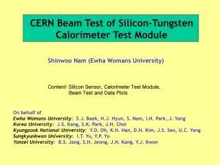 CERN Beam Test of Silicon-Tungsten Calorimeter Test Module