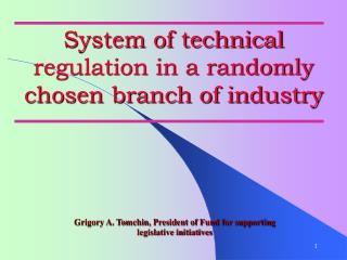 Grigory A. Tomchin , President of Fund for supporting legislative initiatives