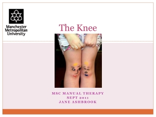 The Knee