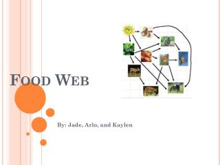 PPT - Food Web PowerPoint Presentation, free download - ID:3833648