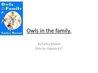 Owls in the family.
