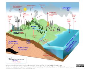 PPT - Soil Respiration (Decomposition) PowerPoint Presentation, free ...