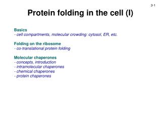 Protein folding in the cell (I)