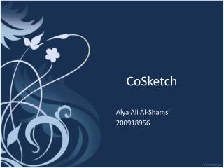 CoSketch