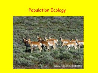 PPT - Population Ecology PowerPoint Presentation, Free Download - ID ...