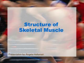 Structure of Skeletal Muscle