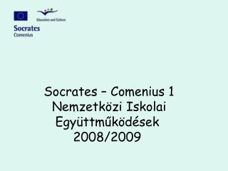 Socrates – Comenius 1 Nemzetközi Iskolai Együttműködések 2008/2009