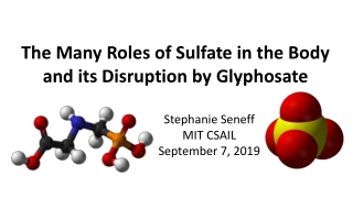 The Many Roles of Sulfate in the Body and its Disruption by Glyphosate