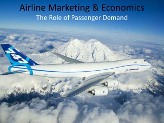 Airline Marketing & Economics