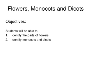 Flowers, Monocots and Dicots