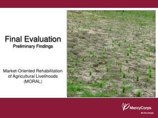 Final Evaluation Preliminary Findings
