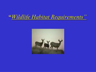“ Wildlife Habitat Requirements”