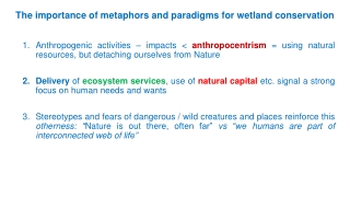 The importance of metaphors and paradigms for wetland conservation