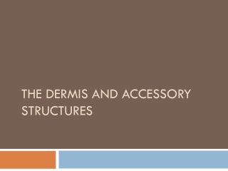 The Dermis and Accessory Structures