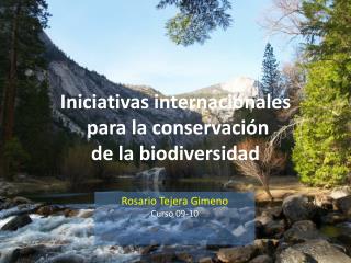Iniciativas internacionales para la conservación de la biodiversidad