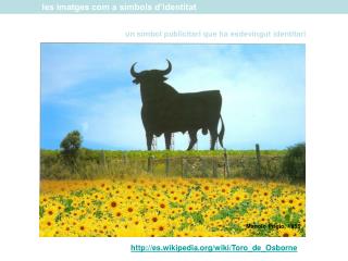 les imatges com a símbols d’identitat