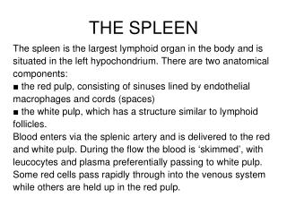 PPT - THE SPLEEN PowerPoint Presentation, free download - ID:3860274