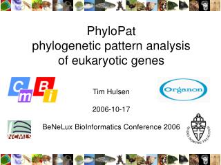 PhyloPat phylogenetic pattern analysis of eukaryotic genes