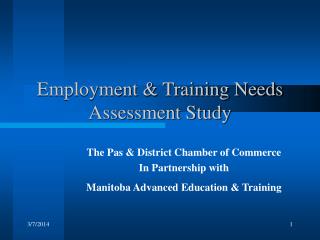 Employment & Training Needs Assessment Study