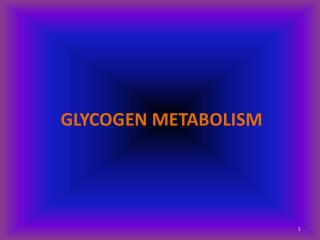 PPT - GLYCOGEN METABOLISM PowerPoint Presentation, Free Download - ID ...