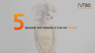 Nutbid a bidding website with lot of fun