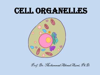 Cell Organelles