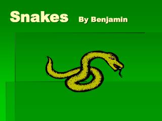 Snakes By Benjamin